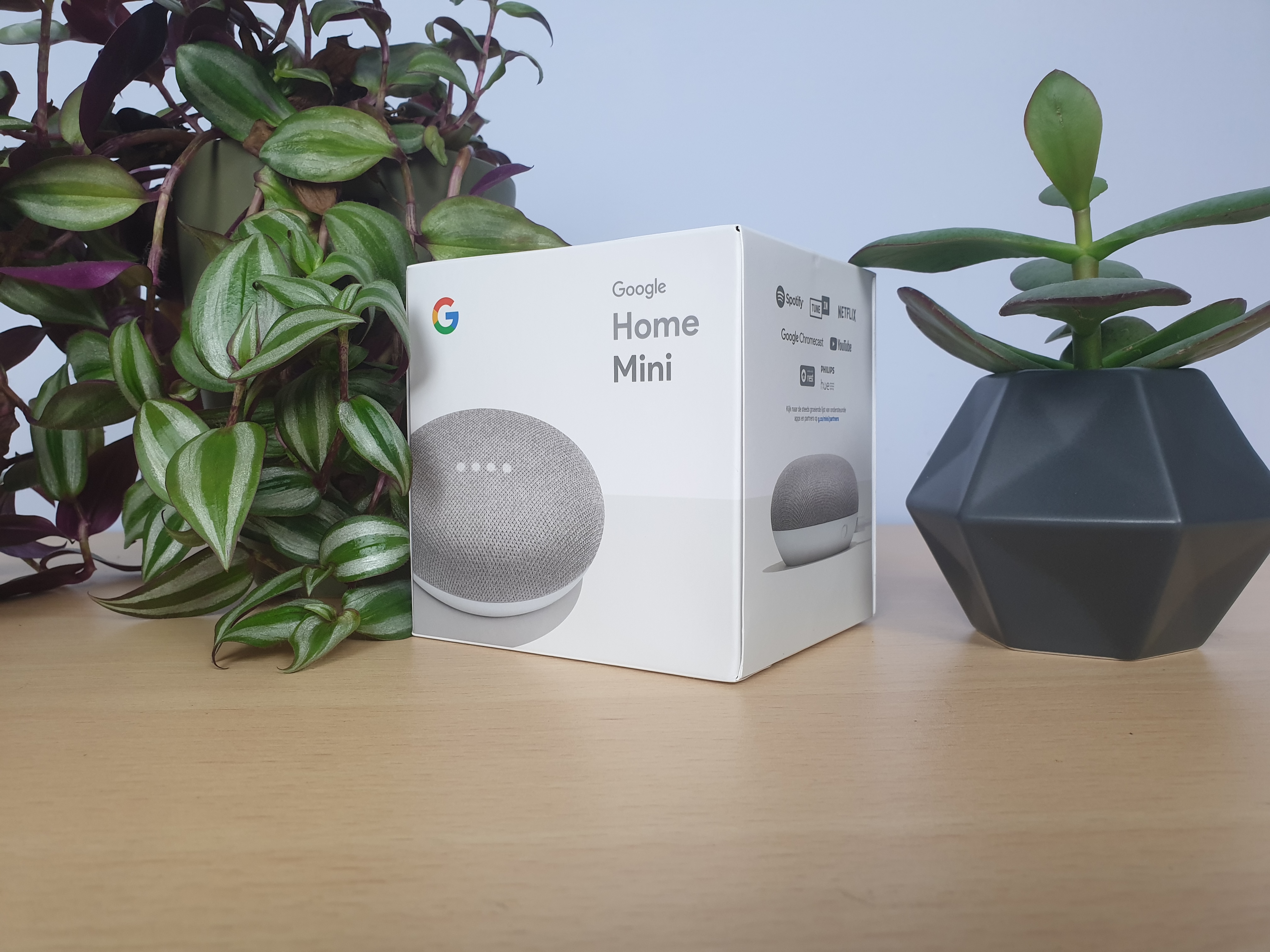 jongen eer Vrijgekomen Google Home Mini review | Techtesters